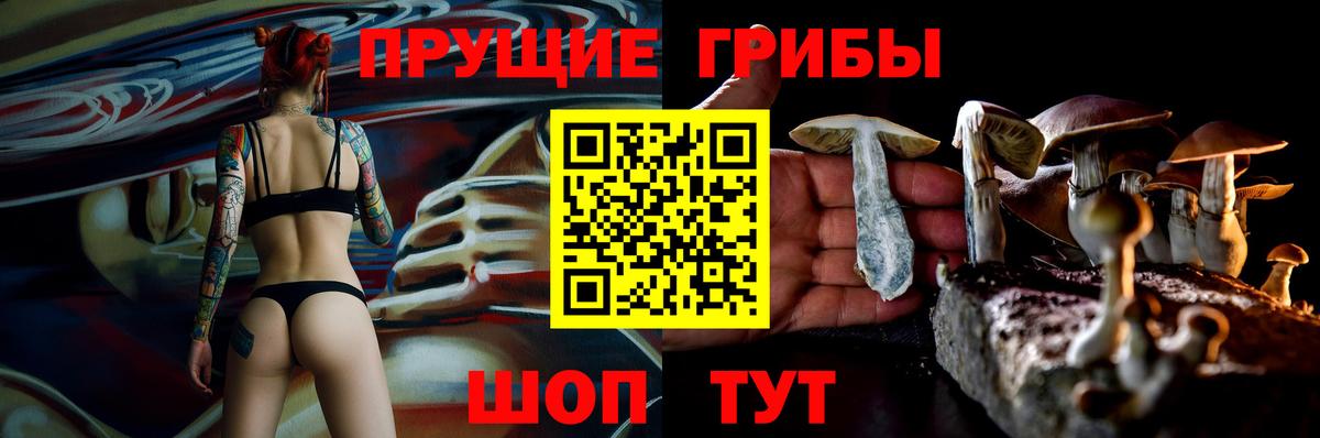 Кировск  Псилоцибиновые грибы Magic Shrooms  Вход с VPN 